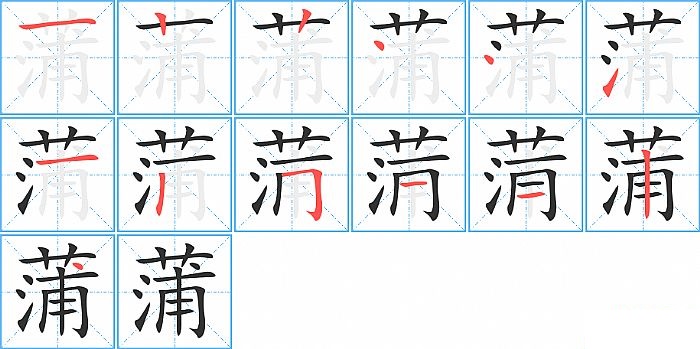 蒲的笔顺分步演示图