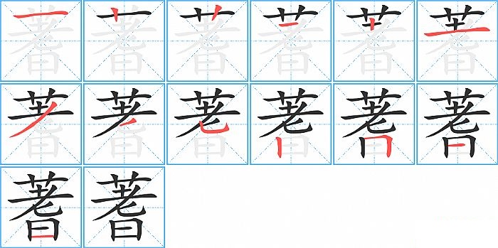 蓍的笔顺分步演示图