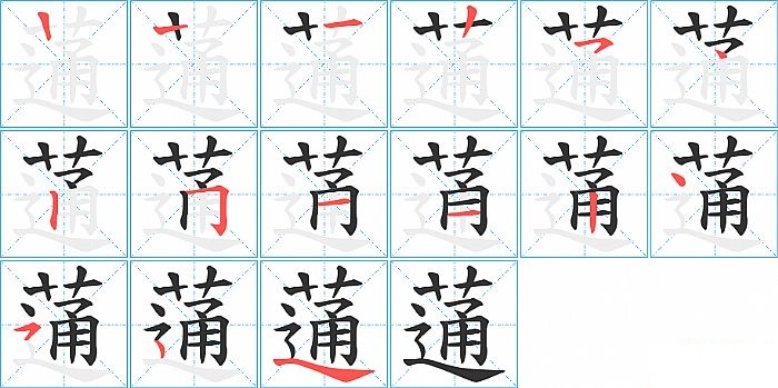 蓪的笔顺分步演示图