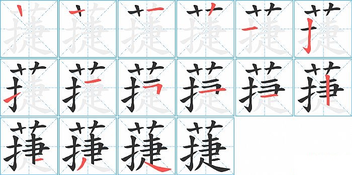 蓵的笔顺分步演示图