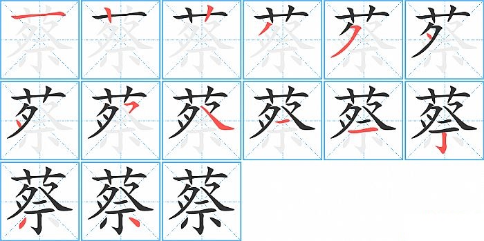 蔡的笔顺分步演示图