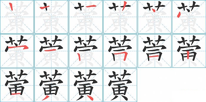 蔩的笔顺分步演示图