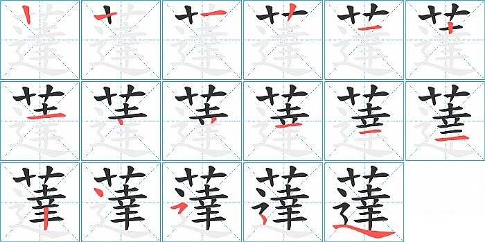 薘的笔顺分步演示图