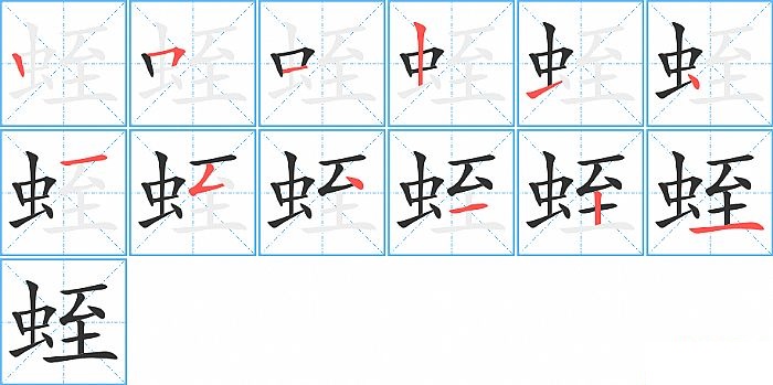 蛭的笔顺分步演示图