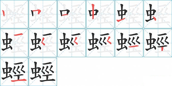 蛵的笔顺分步演示图