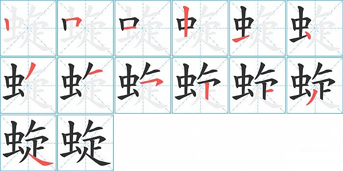 蜁的笔顺分步演示图
