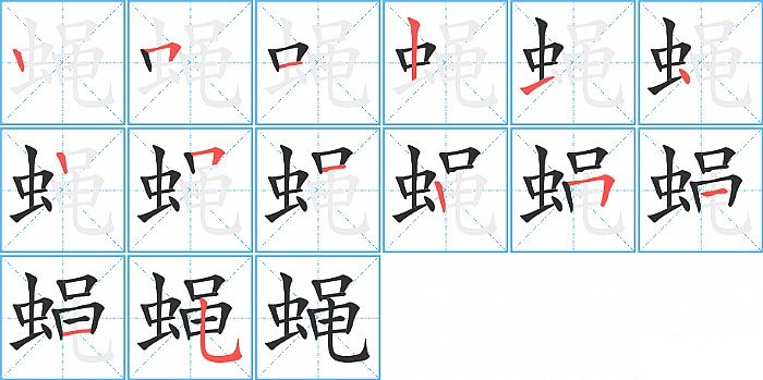 蝇的笔顺分步演示图