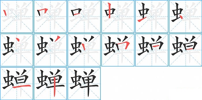 蝉的笔顺分步演示图