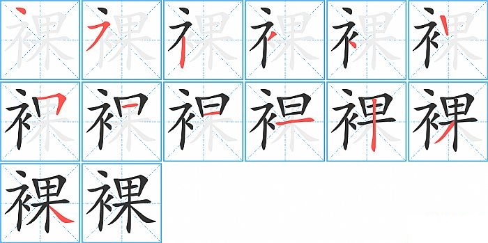 裸的笔顺分步演示图