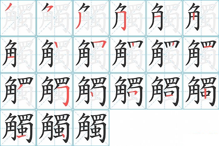 觸的笔顺分步演示图