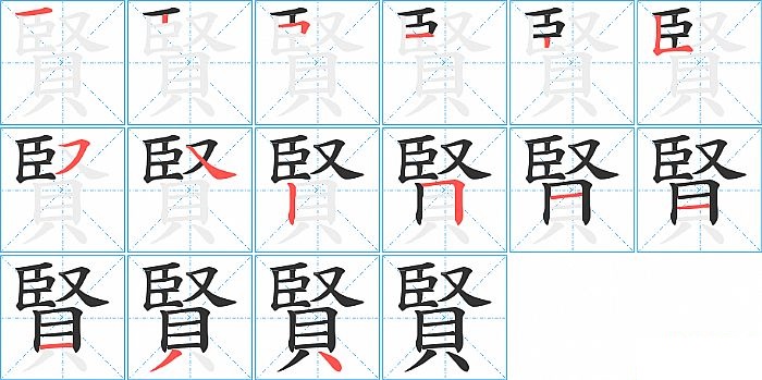 賢的笔顺分步演示图