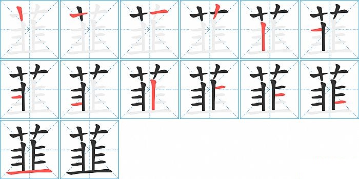 韮的笔顺分步演示图