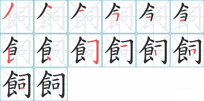 飼的笔顺分步演示图