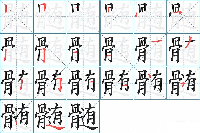 髄的笔顺分步演示图