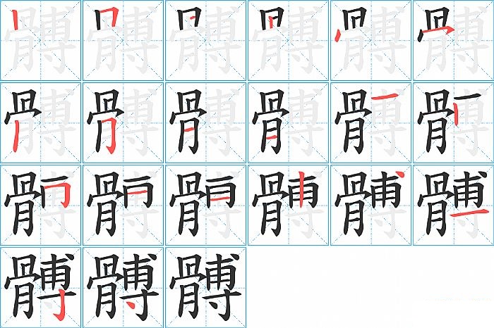 髆的笔顺分步演示图