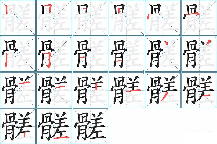 髊的笔顺分步演示图