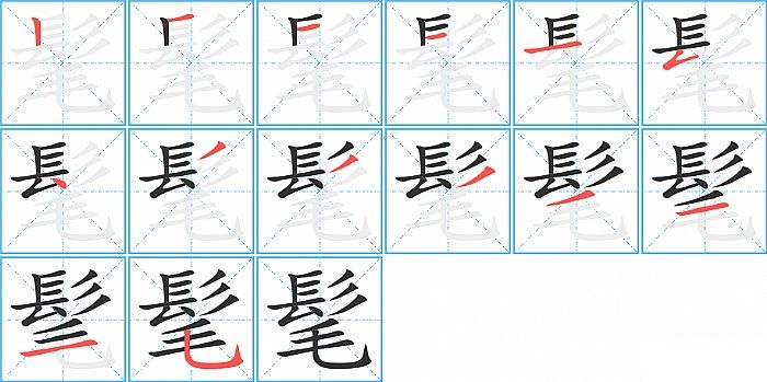 髦的笔顺分步演示图