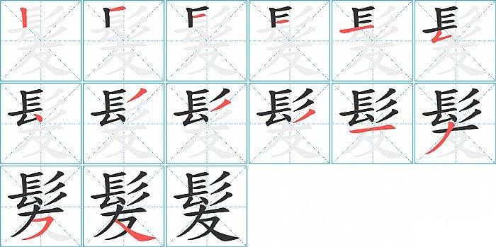 髪的笔顺分步演示图