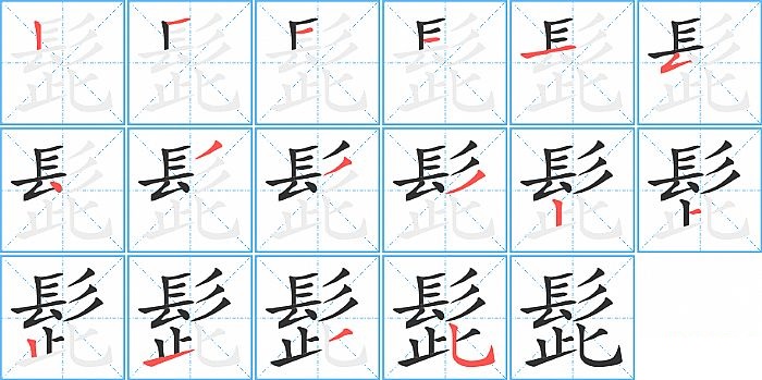 髭的笔顺分步演示图
