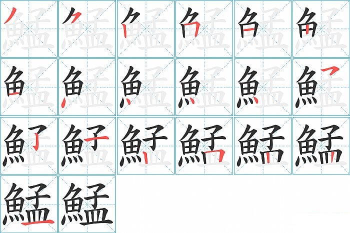 鯭的笔顺分步演示图