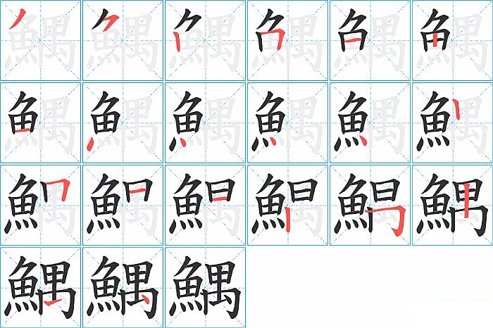 鰅的笔顺分步演示图