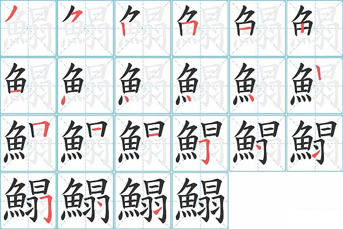 鰨的笔顺分步演示图
