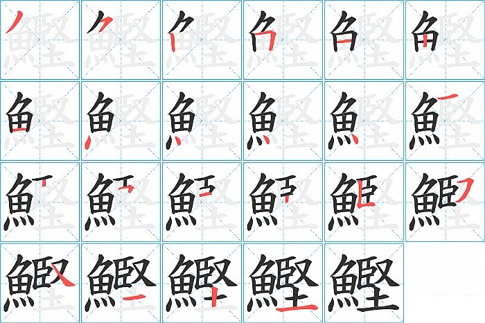 鰹的笔顺分步演示图