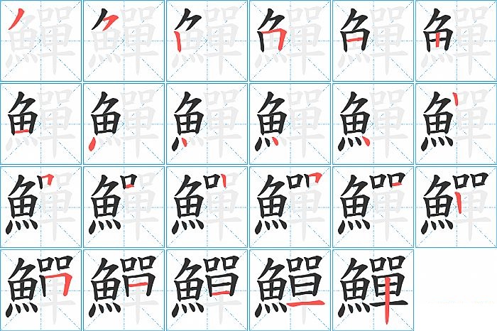 鱓的笔顺分步演示图