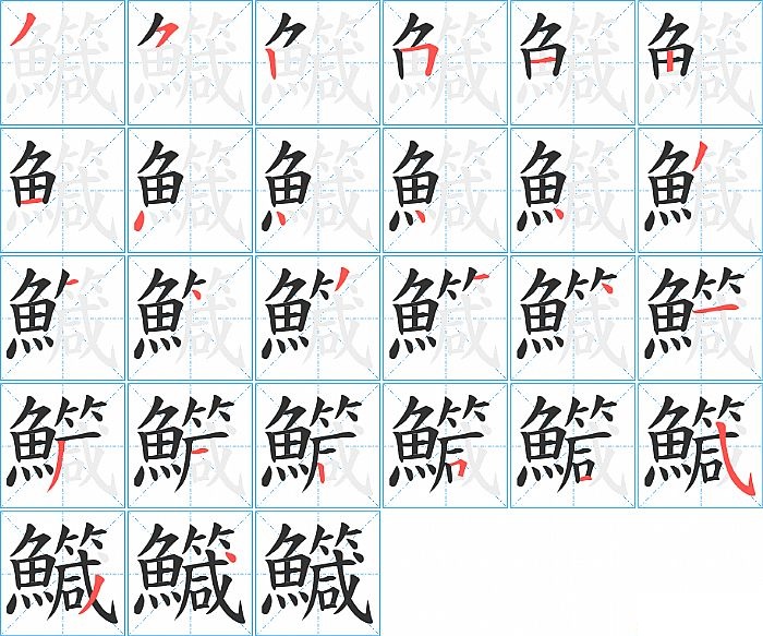 鱵的笔顺分步演示图