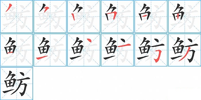 鲂的笔顺分步演示图