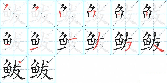 鲅的笔顺分步演示图