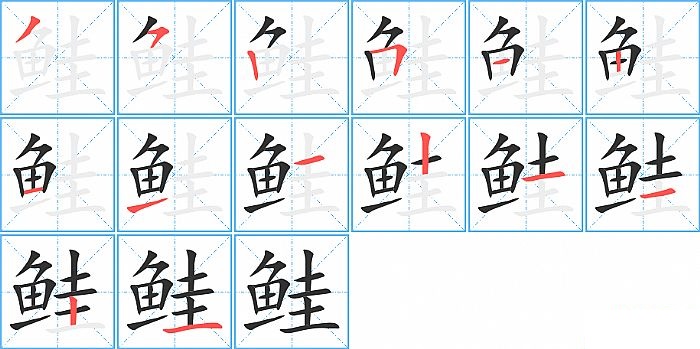 鲑的笔顺分步演示图