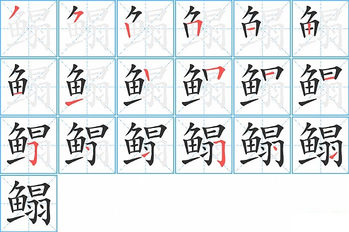鳎的笔顺分步演示图