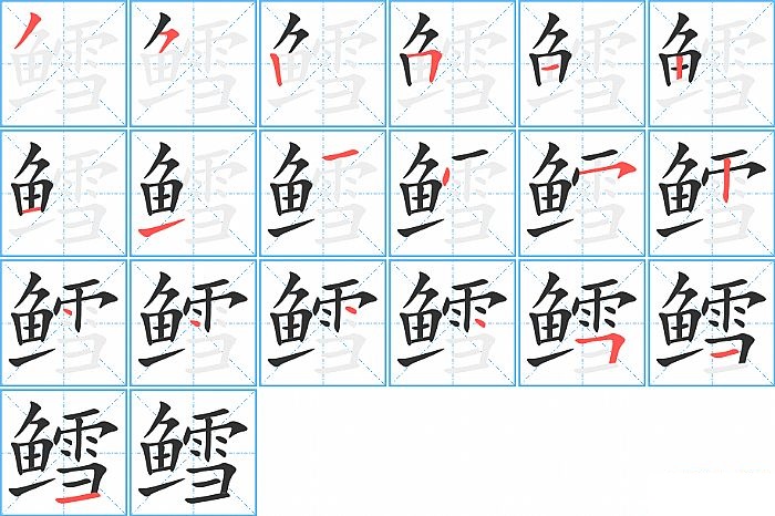 鳕的笔顺分步演示图