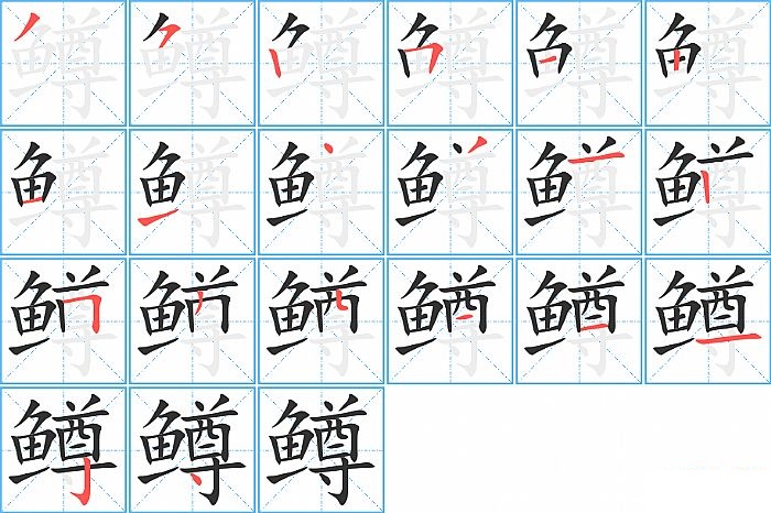 鳟的笔顺分步演示图