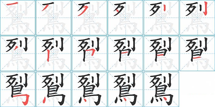 鴷的笔顺分步演示图