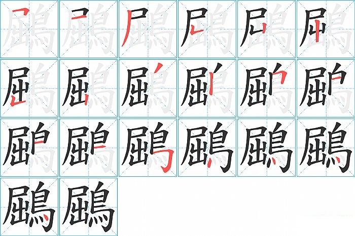 鶌的笔顺分步演示图