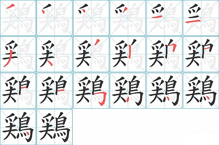 鶏的笔顺分步演示图