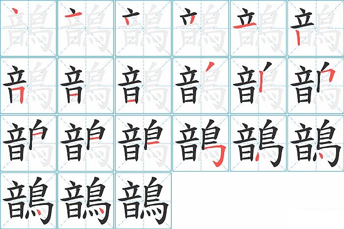 鶕的笔顺分步演示图