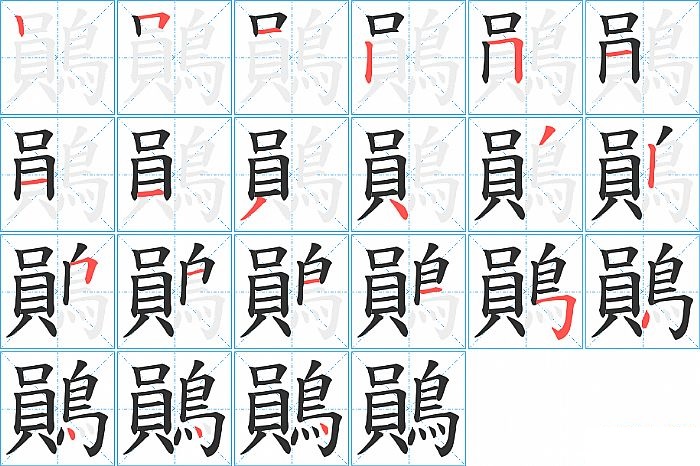 鶰的笔顺分步演示图