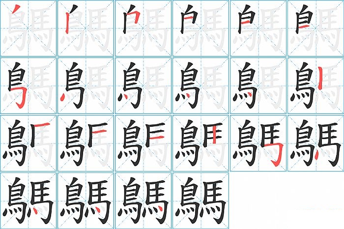 鷌的笔顺分步演示图