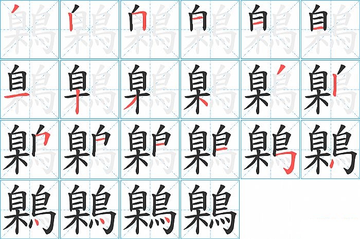 鷍的笔顺分步演示图