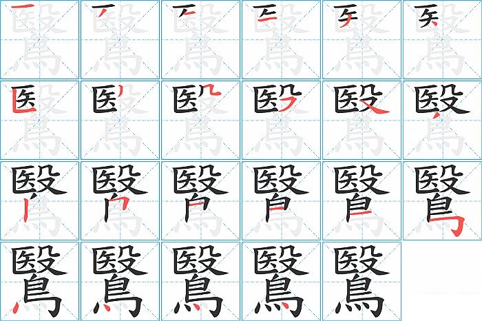 鷖的笔顺分步演示图