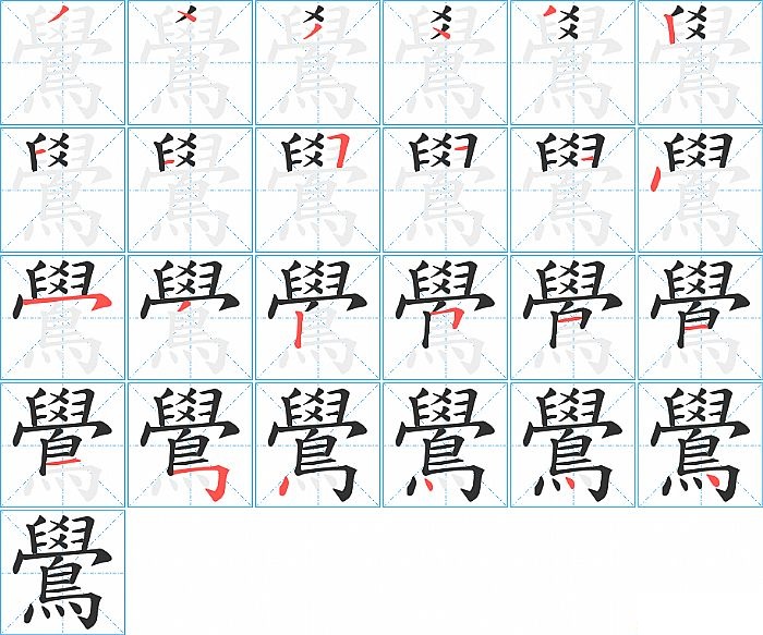 鷽的笔顺分步演示图