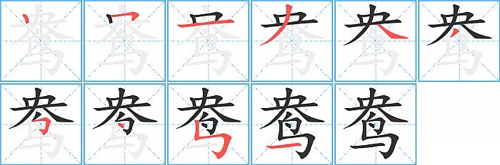 鸯的笔顺分步演示图