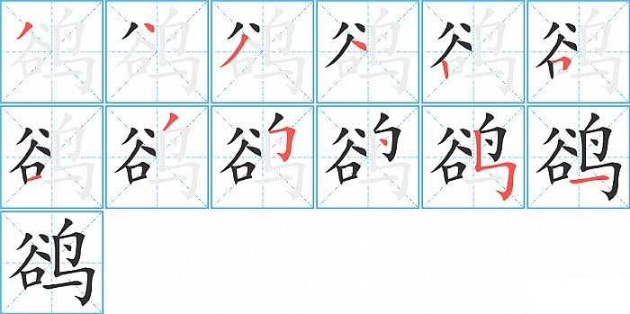 鹆的笔顺分步演示图