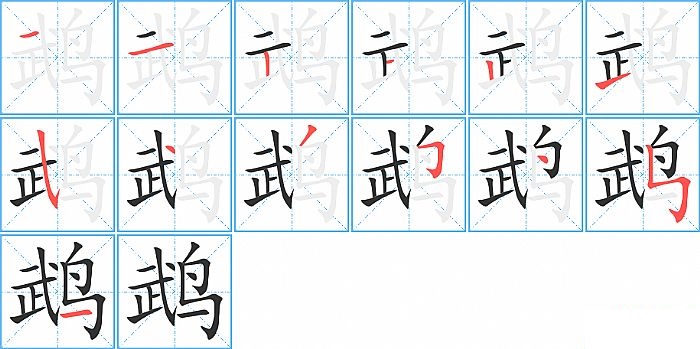 鹉的笔顺分步演示图