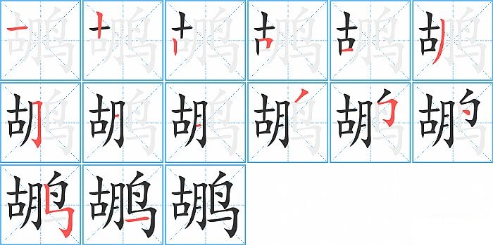 鹕的笔顺分步演示图