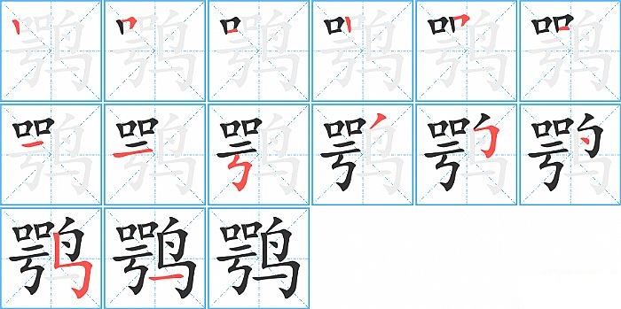 鹗的笔顺分步演示图