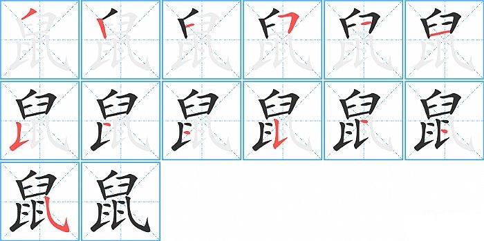 鼠的笔顺分步演示图